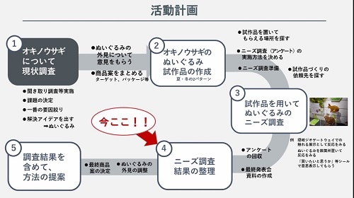 「オキノウサギ」班が考えた活動計画